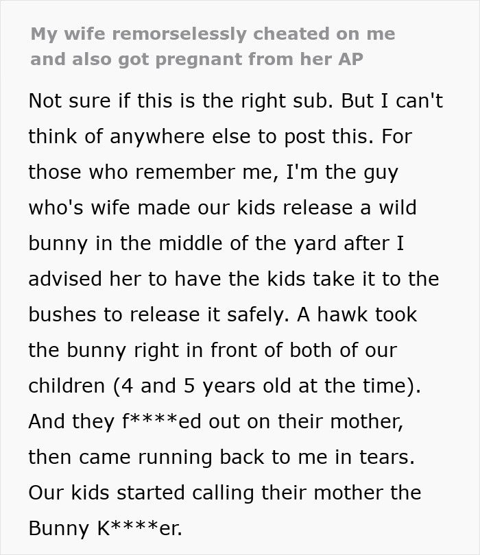 Reddit post screenshot about a wife’s pregnancy, a secret affair, and a childhood bunny story. Reddit post screenshot about a wife’s pregnancy, a secret affair, and a childhood bunny story.