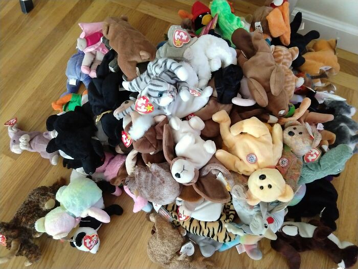 Pile of plush stuffed animal toys given as weird items while trick-or-treating