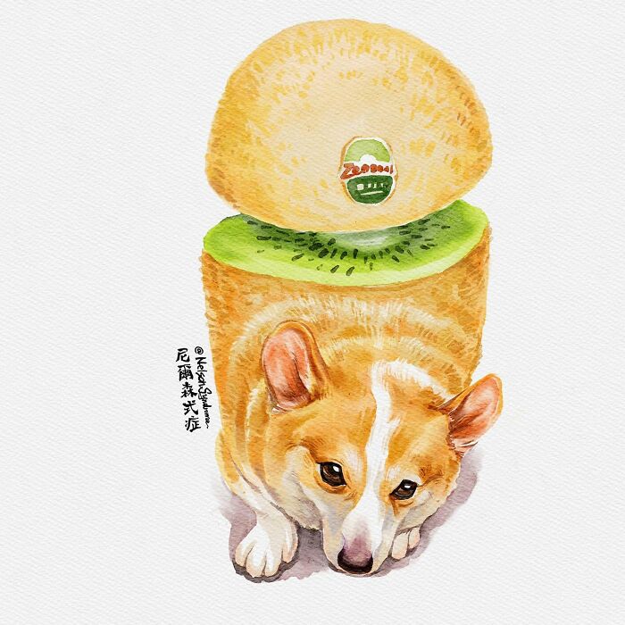 Cute corgi depicted as a sliced kiwi in a playful Nelson Syndrome illustration