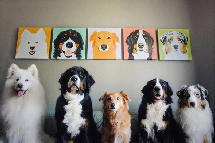 Funny animals: Five dogs sitting in a row below their illustrated portraits.