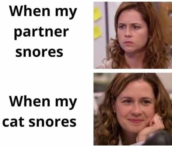 Funny memes comparison of Pam from The Office annoyed by partner snoring versus happy when cat snores.