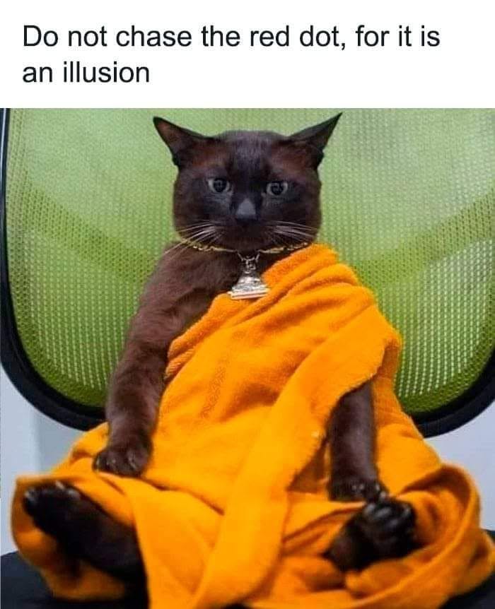 Funny memes showing a dark cat dressed in an orange monk robe sitting calmly.