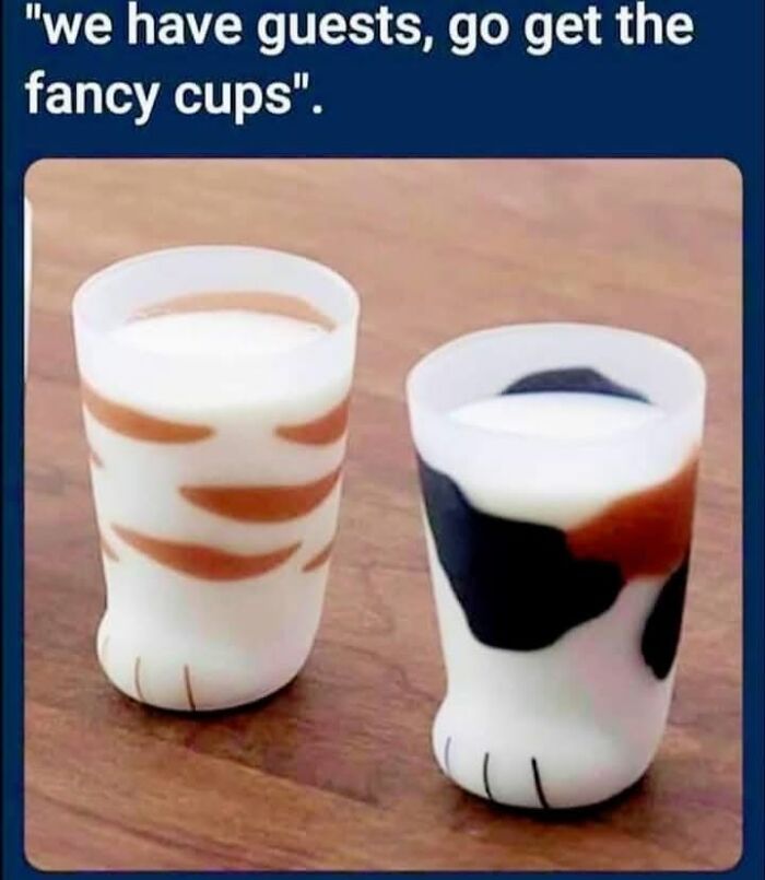Funny memes about cat paw shaped glasses filled with milk on a wooden table.