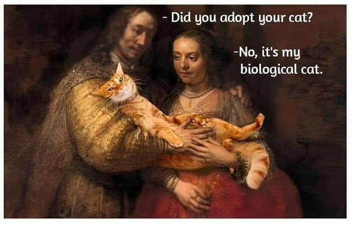 Funny memes photoshopping an orange cat into a classic oil painting as a biological pet.
