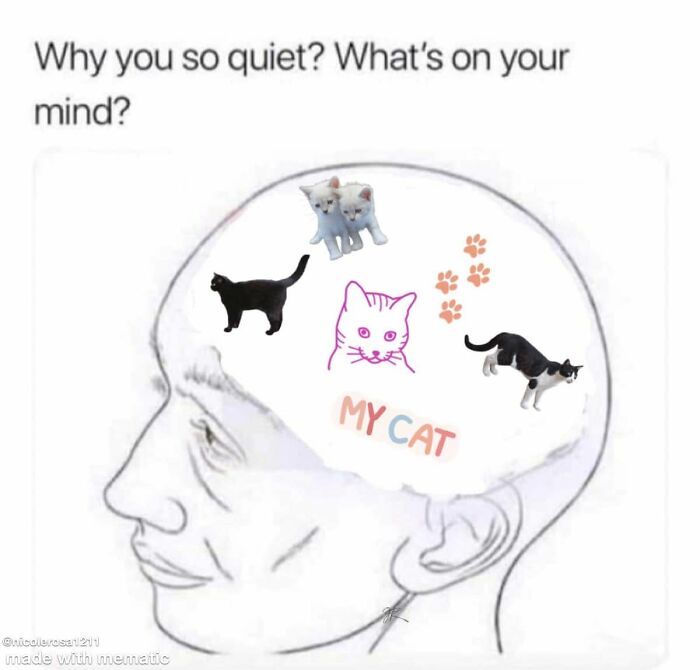 Illustration of a human brain filled with cats in funny memes