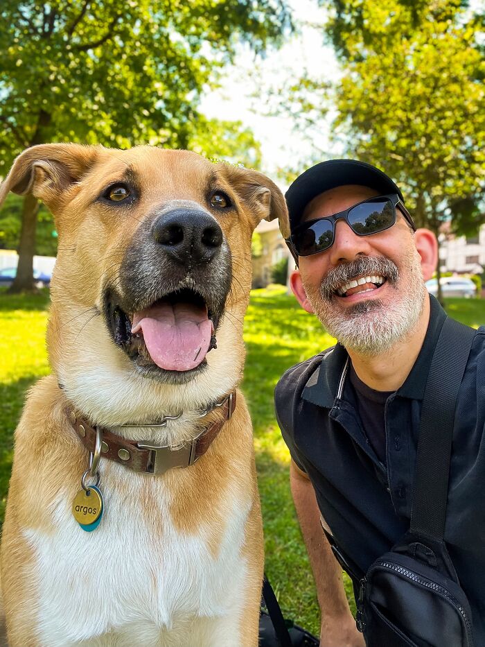A smiling man in sunglasses and his happy dog on a sunny day, showcasing pets that look like their owners.
