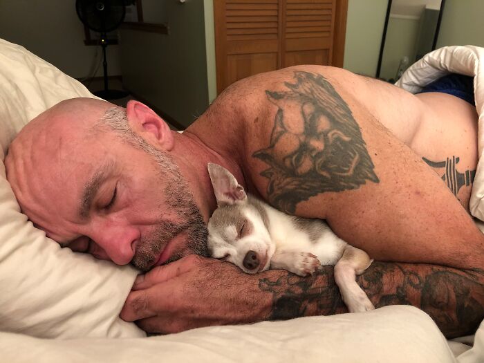 Tattooed man sleeping side-by-side with his tiny pet dog