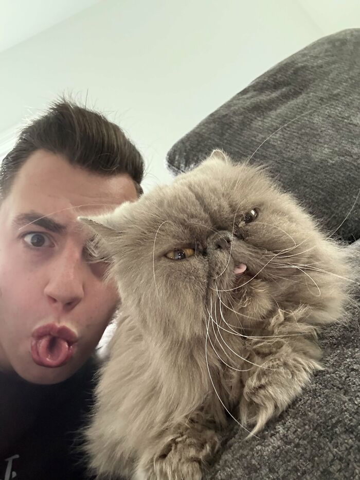 A young man making a funny face with his tongue out next to his fluffy cat showing pets look like their owners.