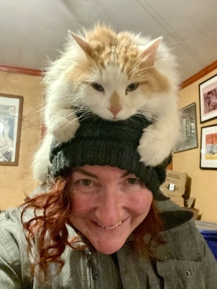 Woman in a beanie with a fluffy cat pet sitting on her head