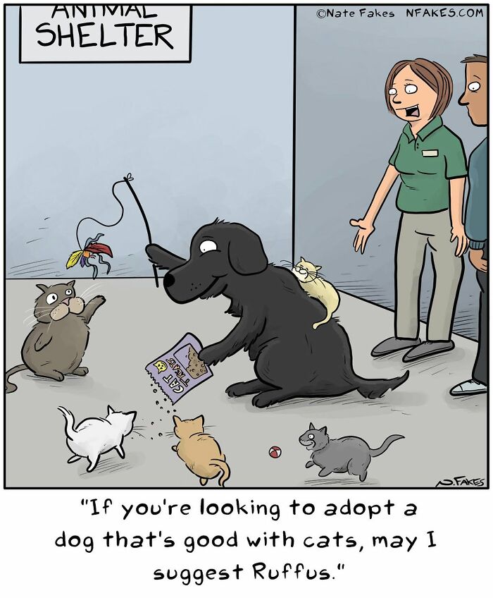 Dog recommended for cat-friendly adoption at animal shelter comic