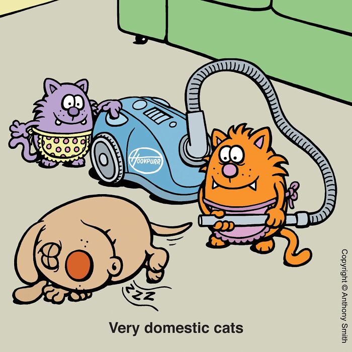 Funny cat comics illustration showing two domestic cats in aprons using a vacuum cleaner near a sleeping dog.