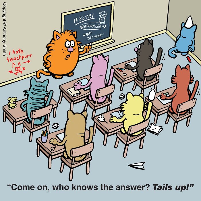 Funny cat comic showing a teacher cat addressing a classroom filled with cat students.