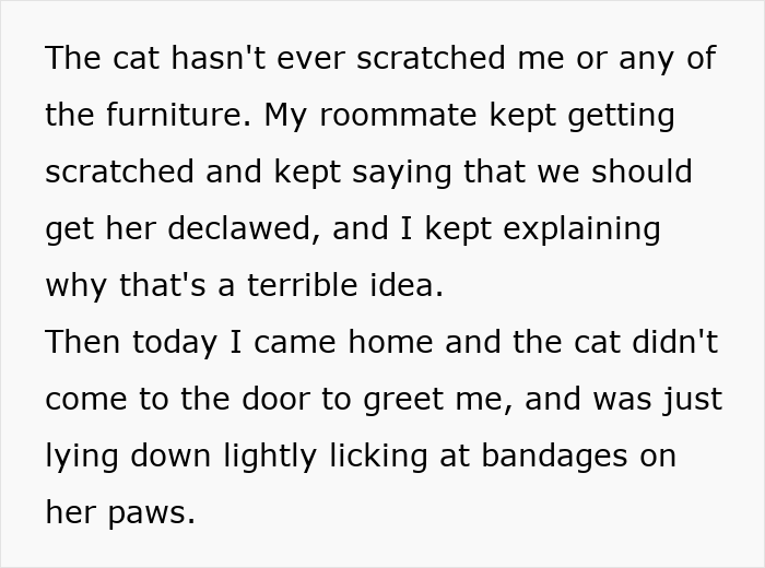 Cat Owner Comes Home To Find Her Pet With Bandaged Paws After Roommate Ignored A Clear &ldquo;No&rdquo;