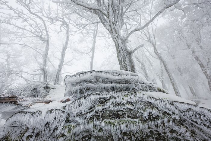 Frozen, icy rock covered in rime ice amidst winter trees for Natural Landscape Photography Awards 2026.