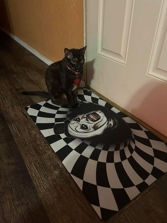 A black cat sitting next to a scary optical illusion mat, showing unexpected Halloween conflicts at home.