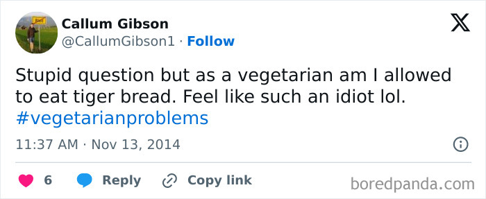 Funny-Vegetarian-Tweets