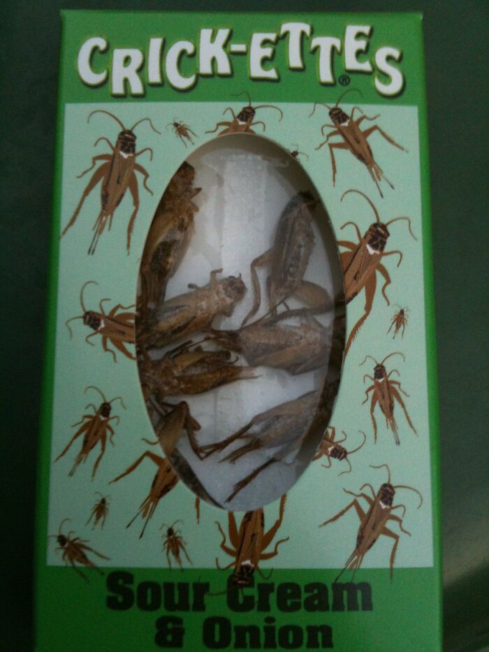 A box of Crick-ettes sour cream and onion flavored crickets given instead of candy while trick-or-treating.
