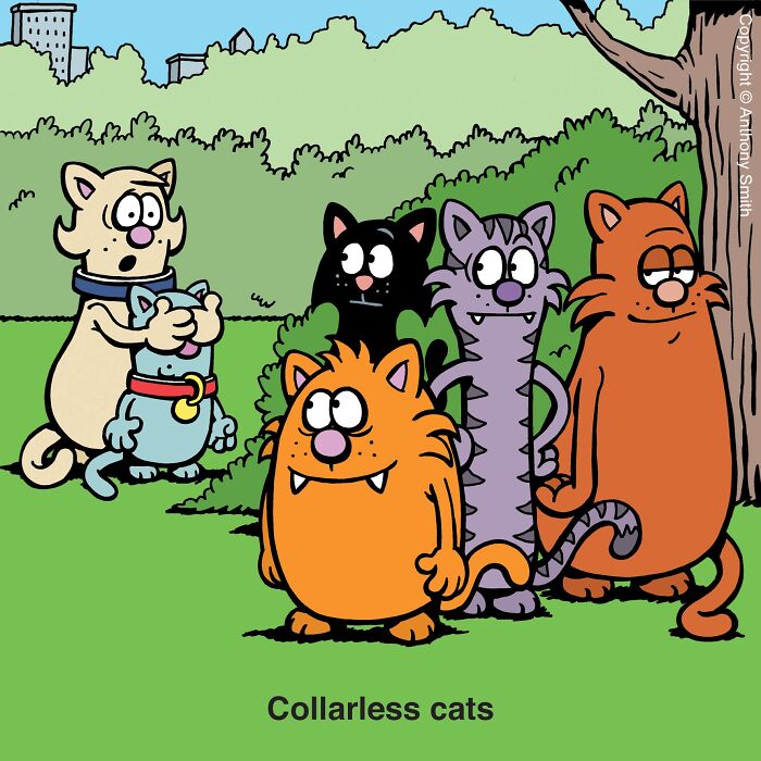 Funny cat comic showing a group of feral cats staring at a pet cat.