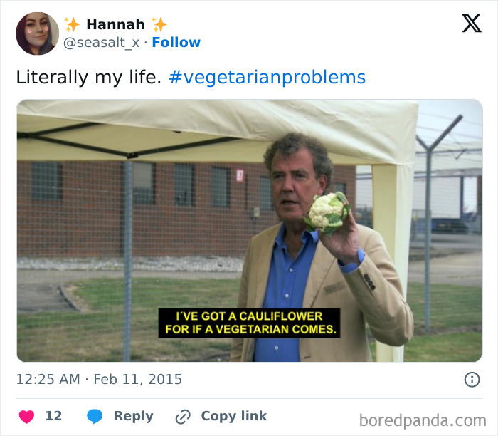 Funny-Vegetarian-Tweets