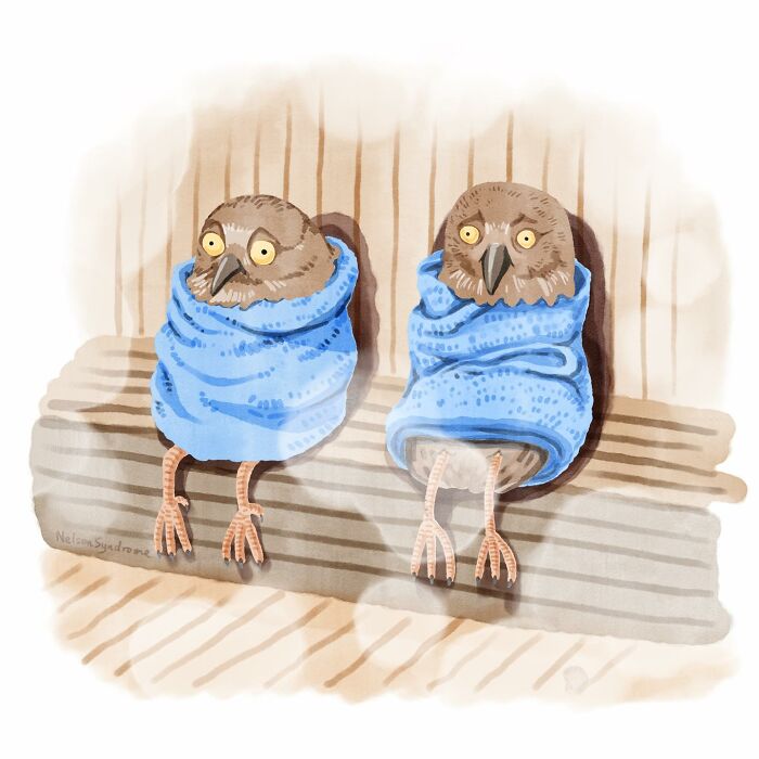 Nelson Syndrome illustration parody of two cute birds wrapped in blue towels inside a sauna.