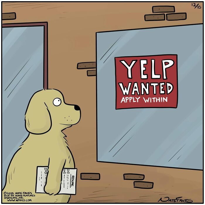 Dog comic of dog applying for job at Yelp in funny scene