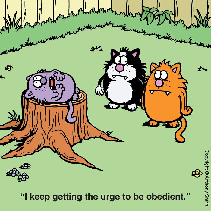 Funny cat comics showing a cat on a tree stump expressing strange feelings.
