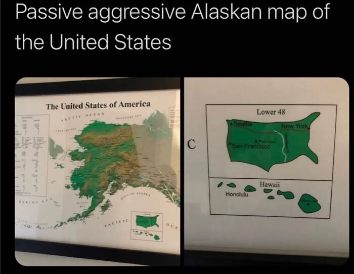 Passive aggressive Alaskan map of the United States showing detailed Alaska and simplified lower 48 and Hawaii