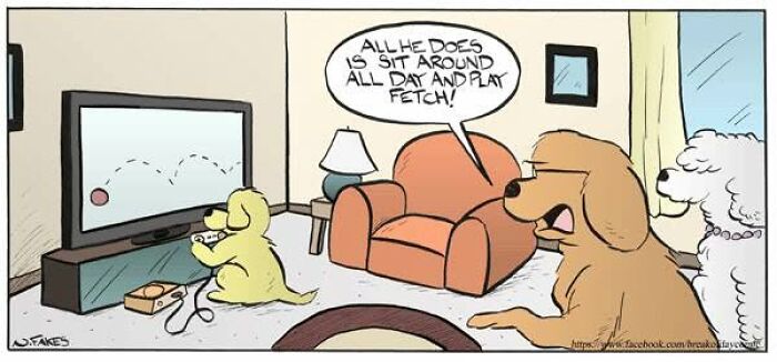 Dog complains about another dog playing fetch in comic