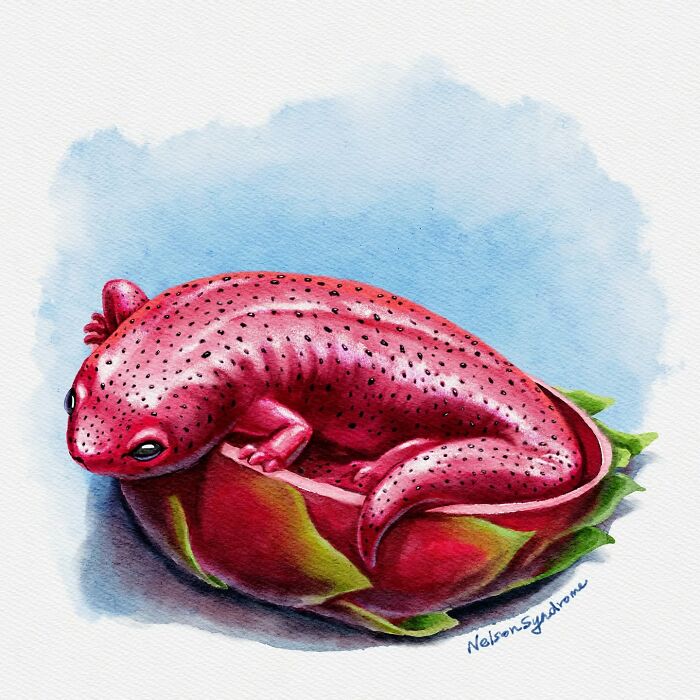 Nelson Syndrome animal-filled parodies watercolor illustration of a pink axolotl dragon fruit.