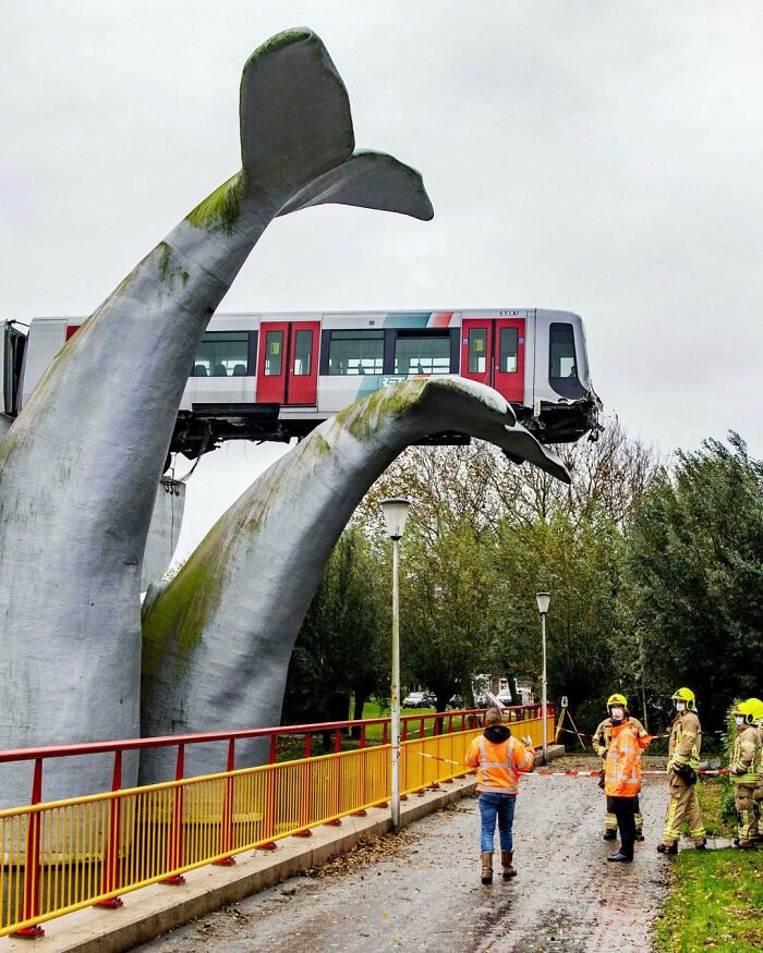 Train balanced on a whale sculpture tail, creating an interesting and cool emergency scene