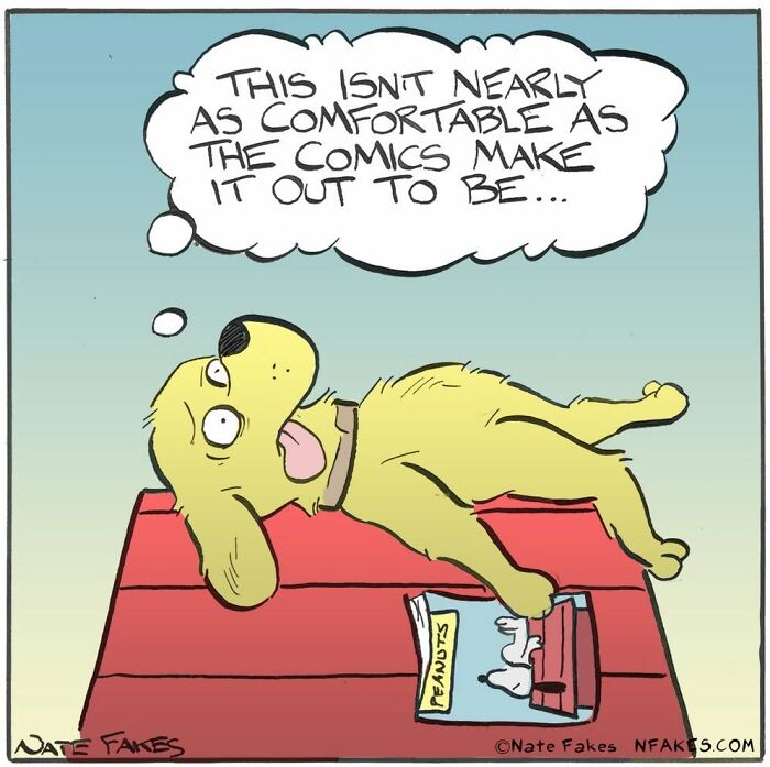Dog lying on roof uncomfortable, thinking comics misrepresent dog's comfort