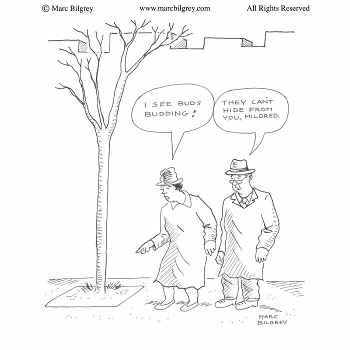 A Marc Bilgrey cartoon showing an elderly couple looking at a bare tree, humorously finding buds in winter.