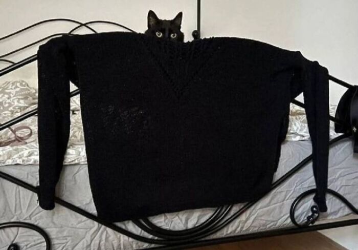 A black cat hiding behind a black sweater hanging on a bed frame, displaying adorable black cat pics vibes.