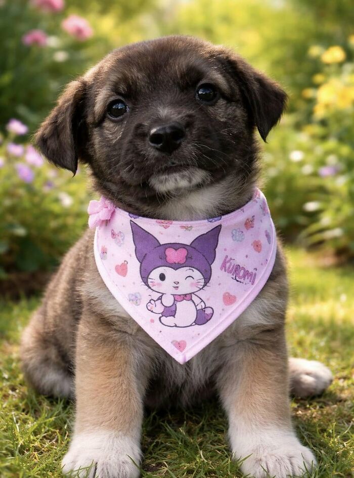 Cute abandoned puppy wearing a pink cartoon bandana in a garden