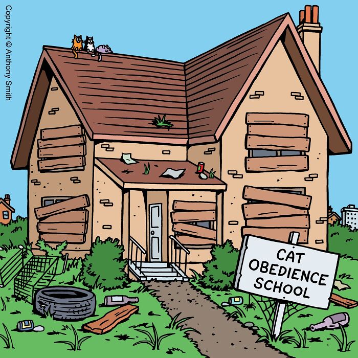 Funny cat comics panel featuring a run-down house with a sign reading Cat Obedience School.