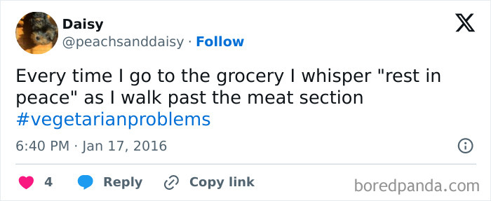 Funny-Vegetarian-Tweets
