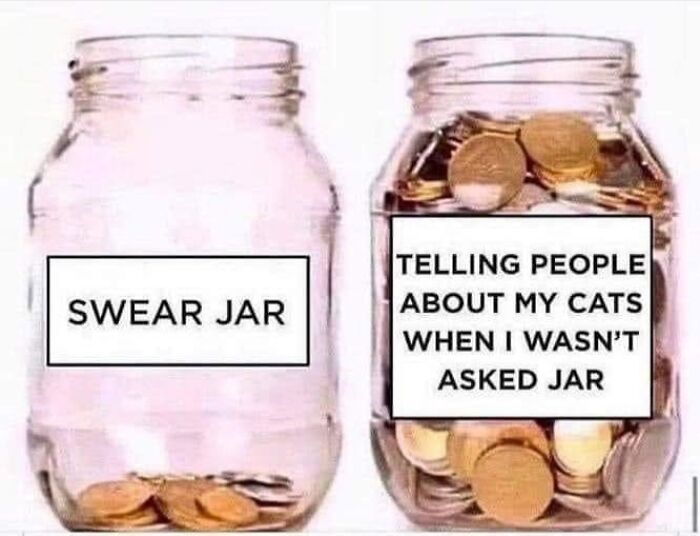 61 Hilarious Cat Posts From The ‘Cat’ Facebook Page That Feline Fans May Find Painfully Relatable