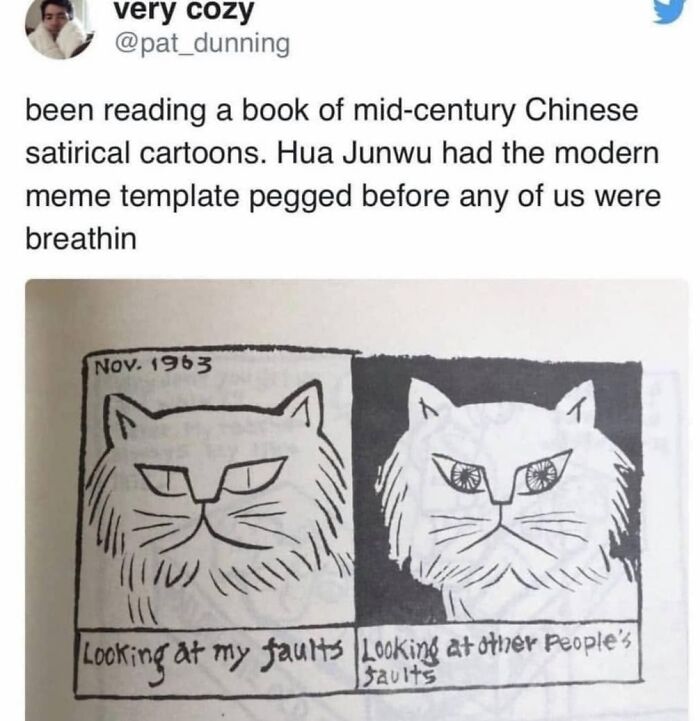 61 Hilarious Cat Posts From The ‘Cat’ Facebook Page That Feline Fans May Find Painfully Relatable