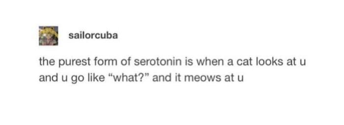 61 Hilarious Cat Posts From The ‘Cat’ Facebook Page That Feline Fans May Find Painfully Relatable