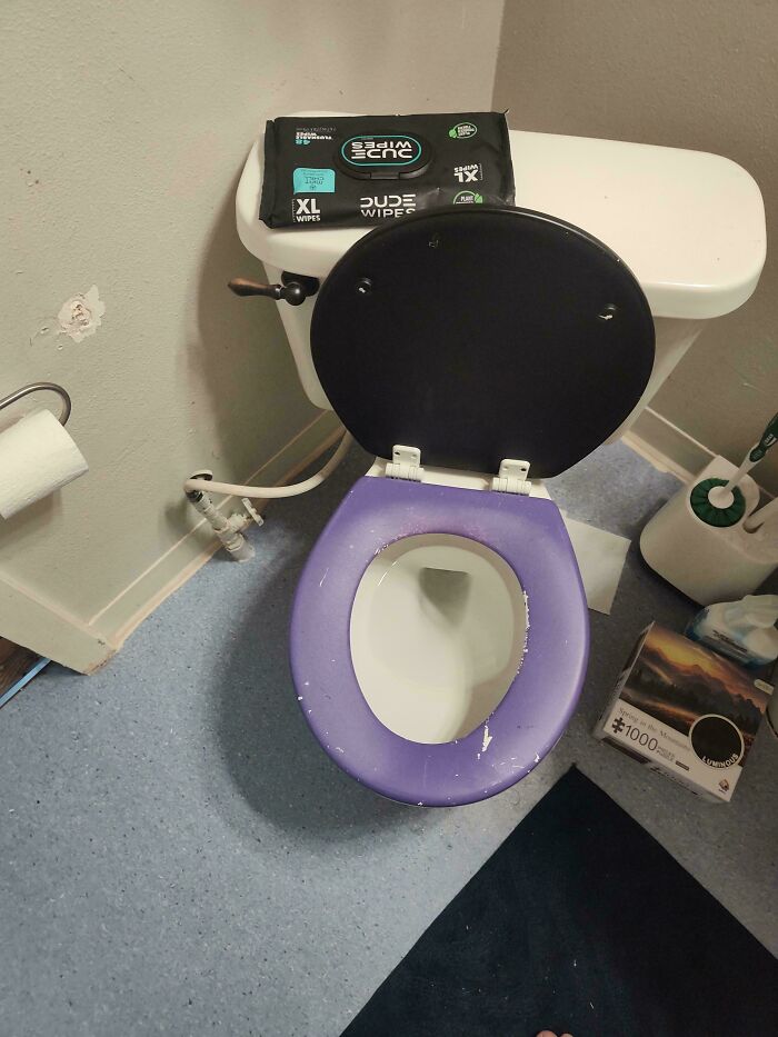 A toilet with a mismatched purple seat and black lid, displaying a bizarre DIY project outcome