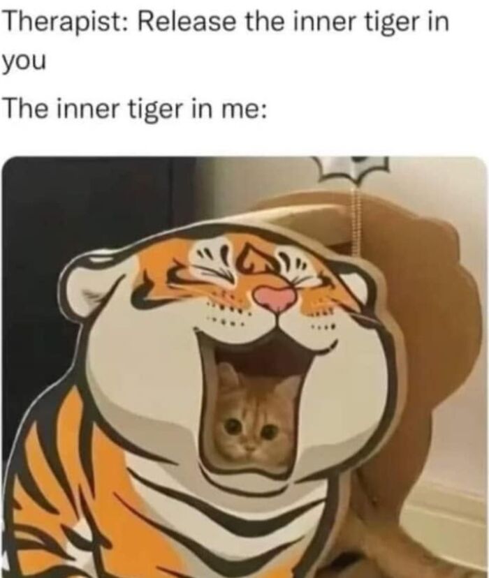 61 Hilarious Cat Posts From The ‘Cat’ Facebook Page That Feline Fans May Find Painfully Relatable
