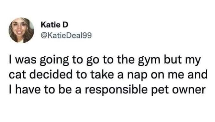 61 Hilarious Cat Posts From The ‘Cat’ Facebook Page That Feline Fans May Find Painfully Relatable