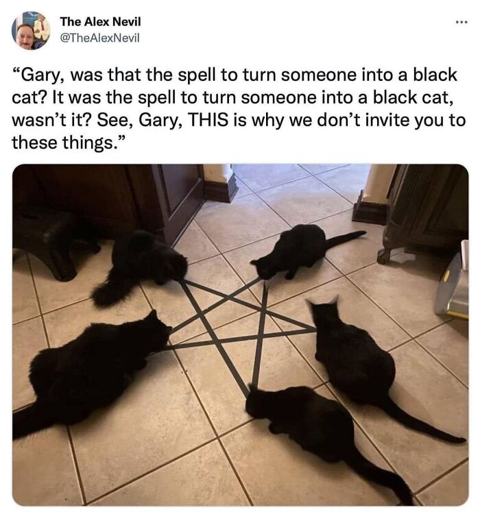 61 Hilarious Cat Posts From The ‘Cat’ Facebook Page That Feline Fans May Find Painfully Relatable