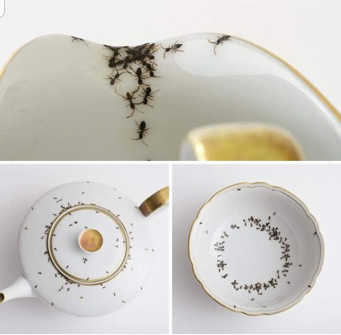 A hand-painted DIY teapot and cup featuring realistic ant designs crawling over the white porcelain.