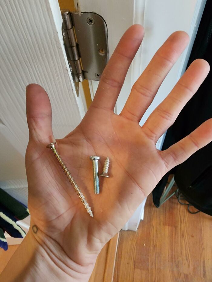 A person holding three different-sized screws in their hand during home DIY projects.