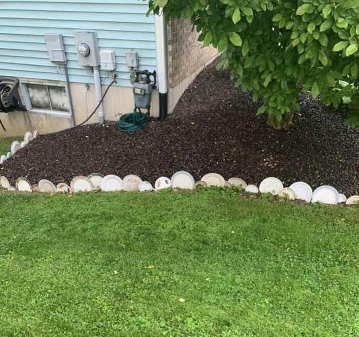 Creative DIY Projects garden edging made by burying ceramic plates in a line next to a grassy lawn