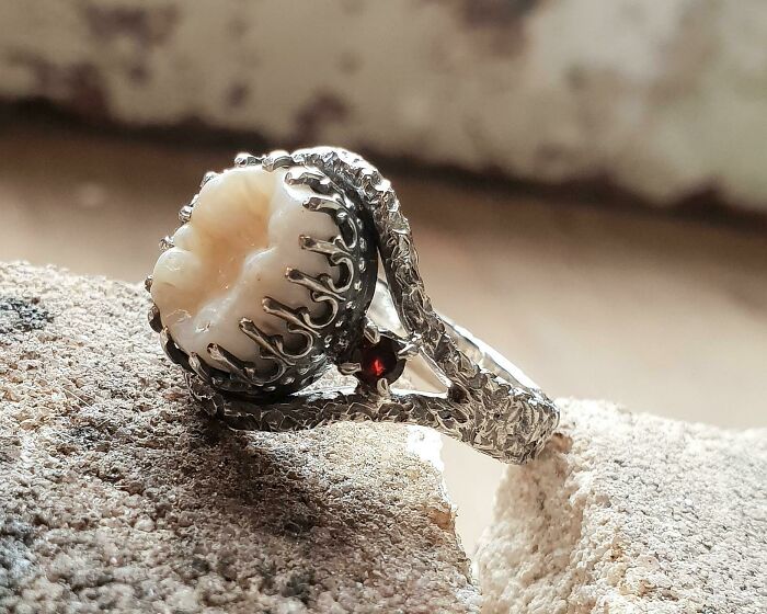 A unique DIY project of a handmade silver ring featuring a real tooth