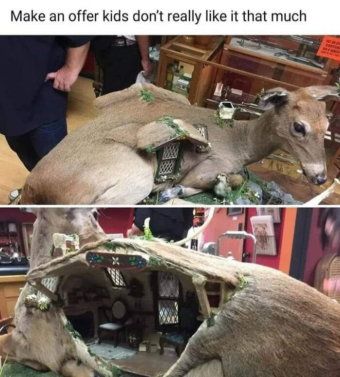 Bizarre DIY projects of a taxidermy deer transformed into a miniature dollhouse