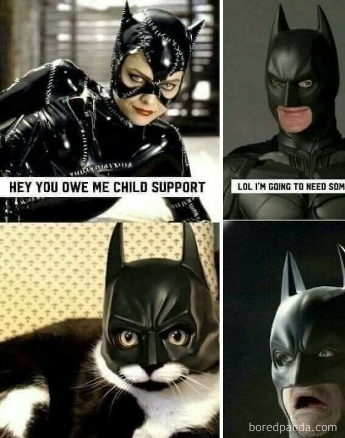 A cringe meme about Batman, Catwoman, and a cat wearing a Batman mask.