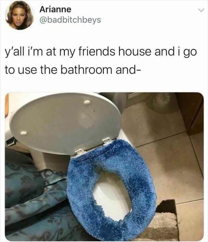 A toilet seat covered in a blue fuzzy carpet material, demonstrating questionable DIY projects.